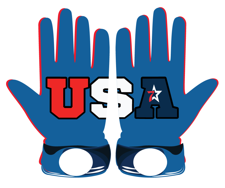 Blue batting gloves with USA letters printed, leather front and neoprene cuff design